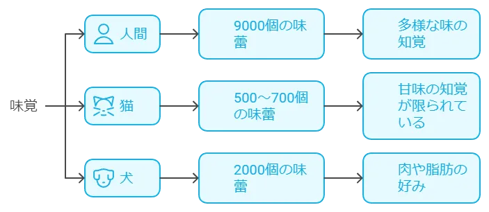 人と犬と猫の味覚の違いが分かる表